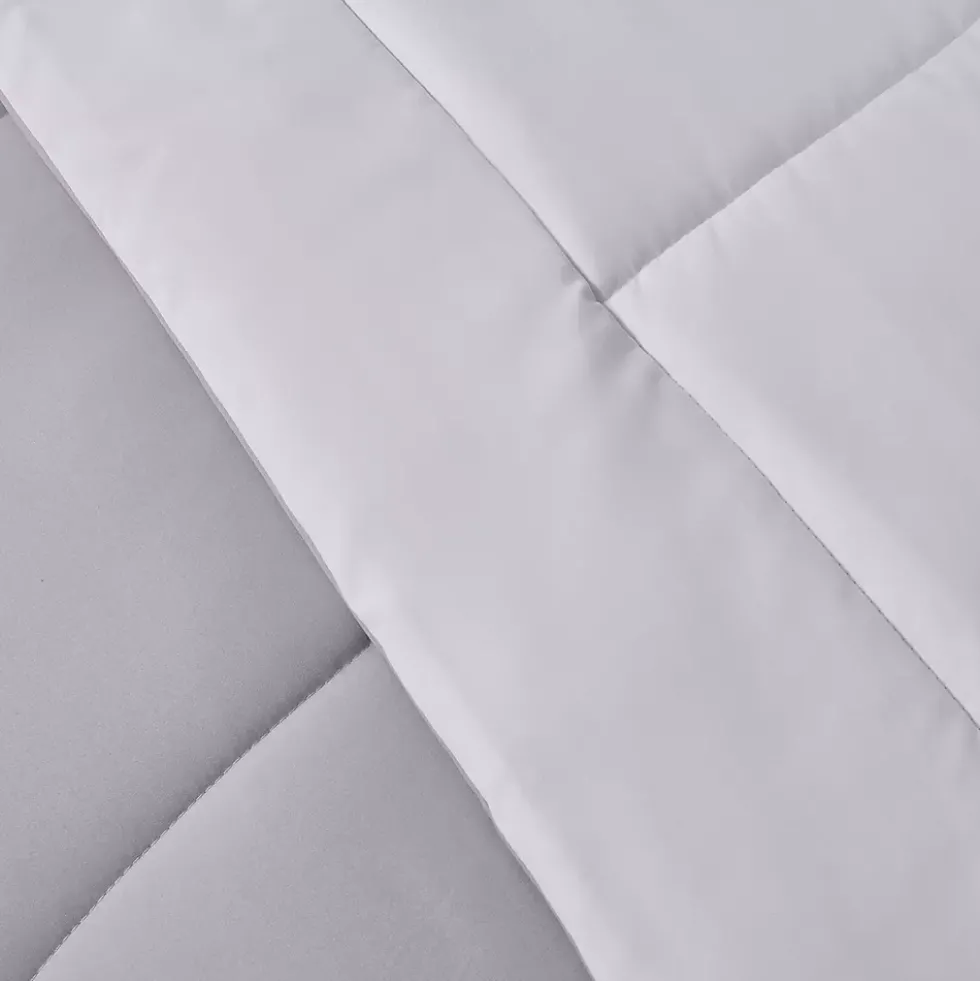 Blue Ridge Home Fashions Reversible Down Alternative Comforter