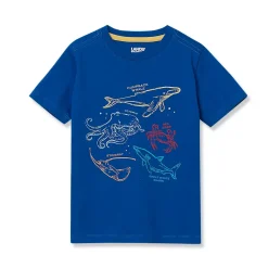 Boys Short Sleeve Graphic Tee