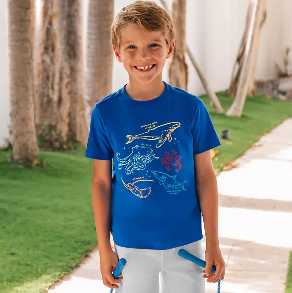 Boys Short Sleeve Graphic Tee