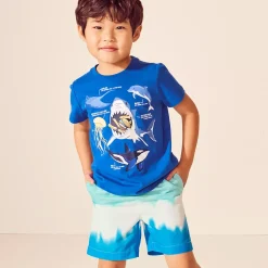 Boys Short Sleeve Graphic Tee