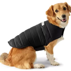 Dog Coat Wanderweight Jacket