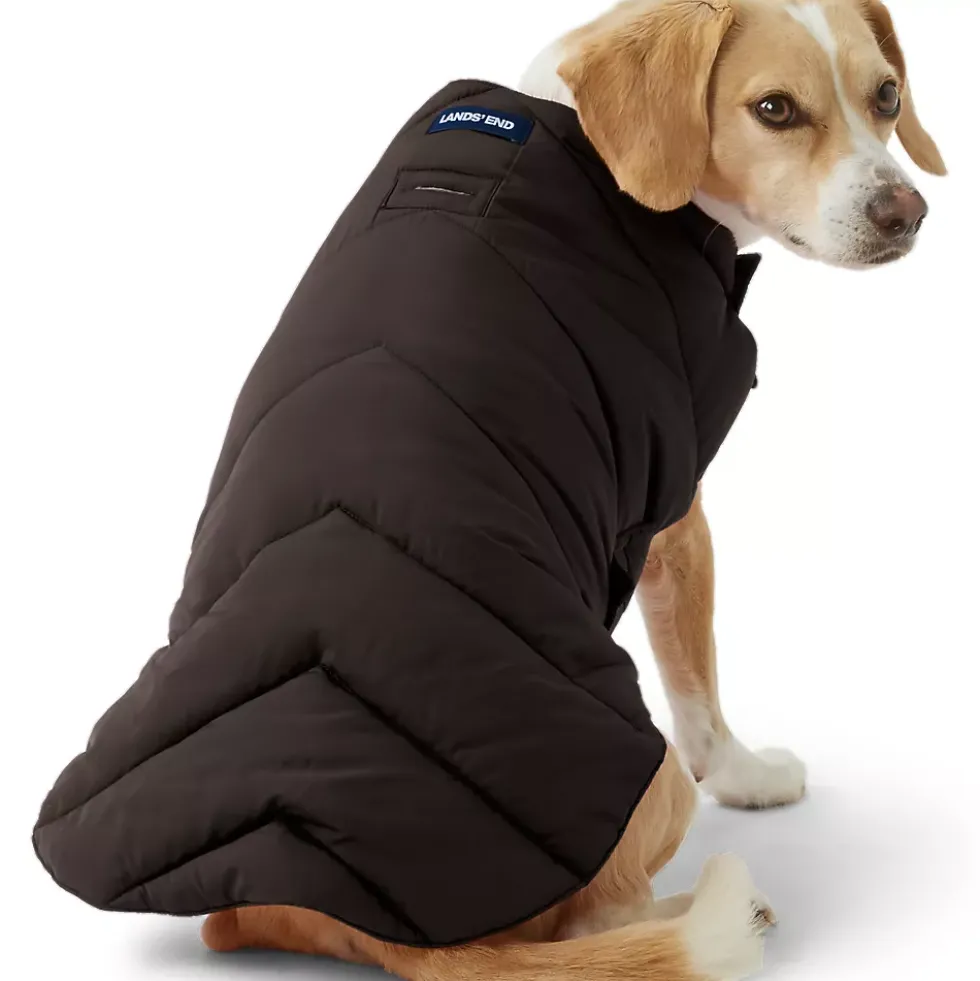 Dog Puffer Vest