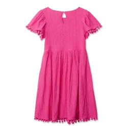 Girls Lace Short Sleeve Dress