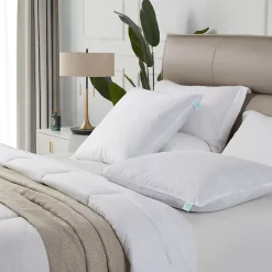 Martha Stewart European Square Feather Firm Pillow 2 Pack