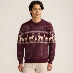 Men's Long Sleeve Holiday Birdseye Crewneck Sweater