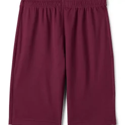 Men's Mesh Gym Shorts