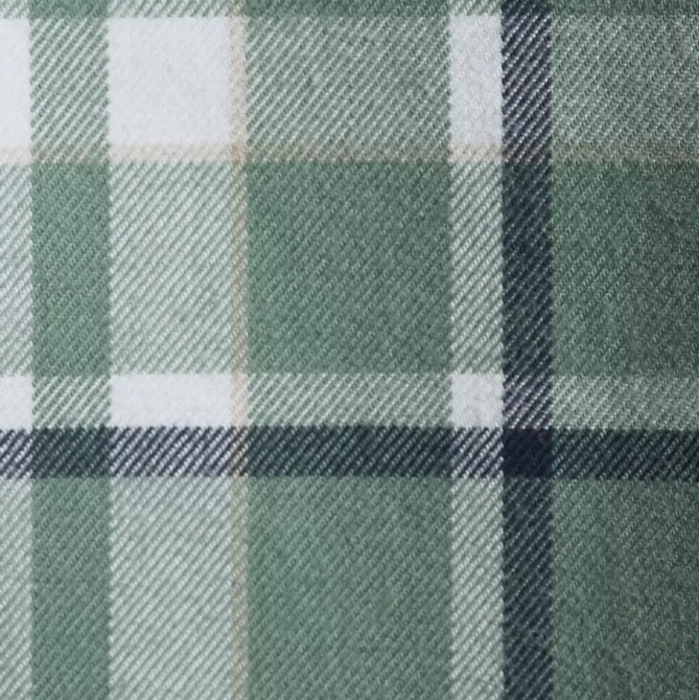 Men's Traditional Fit No Iron Twill Shirt
