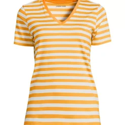 Supima Cotton V-Neck T-Shirt