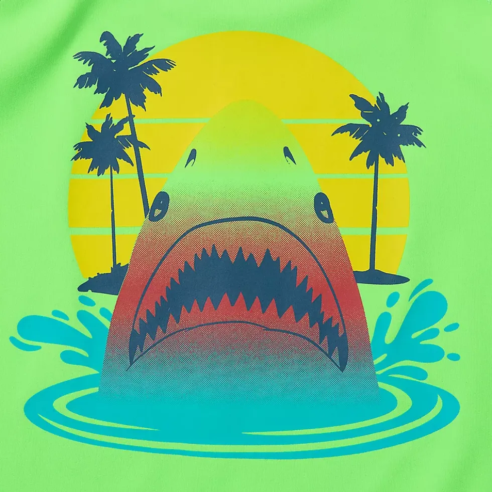 Toddlers Chlorine Resistant Short Sleeve Rashguard Swim Set