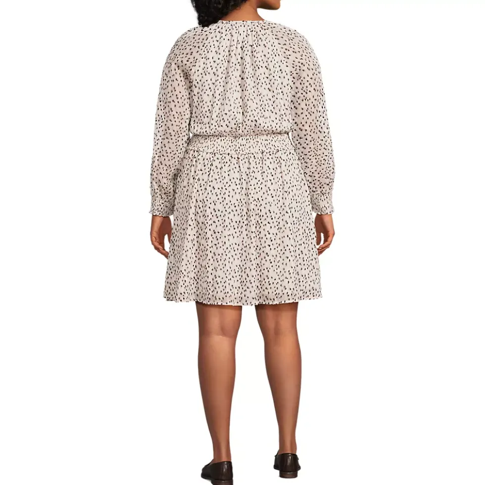 Women's Chiffon Clip Dot Dress