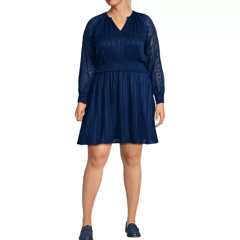 Women's Chiffon Clip Dot Dress