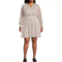 Women's Chiffon Clip Dot Dress