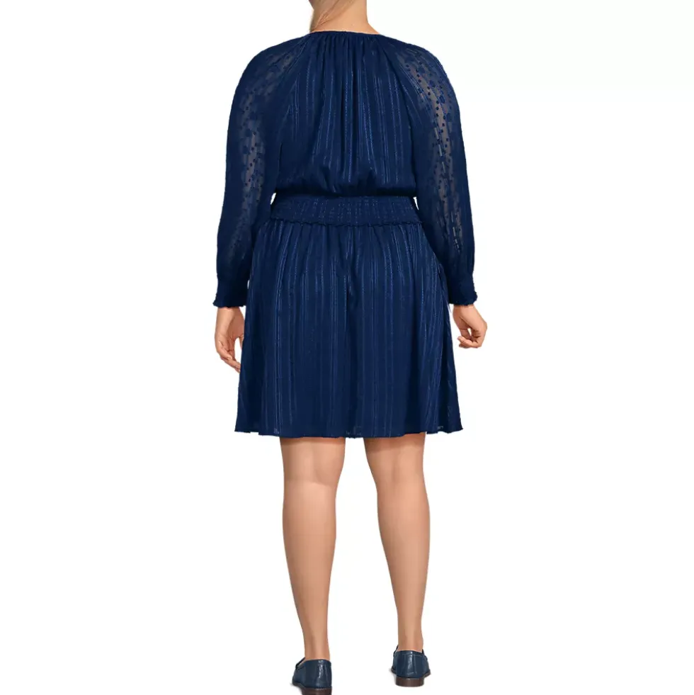 Women's Chiffon Clip Dot Dress
